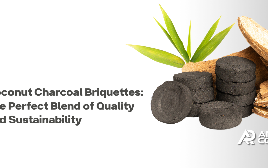 Indonesian Coconut Charcoal Briquettes: The Perfect Blend of Quality and Sustainability