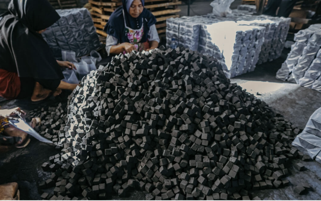 Coconut Shell Charcoal Production: From Raw Material to Eco-Friendly Briquettes