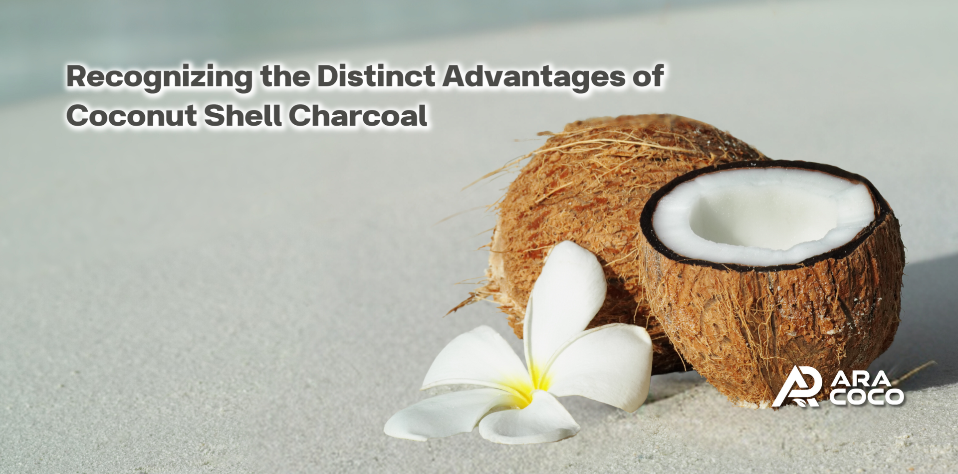 Recognizing the Distinct Advantages of Coconut Shell Charcoal