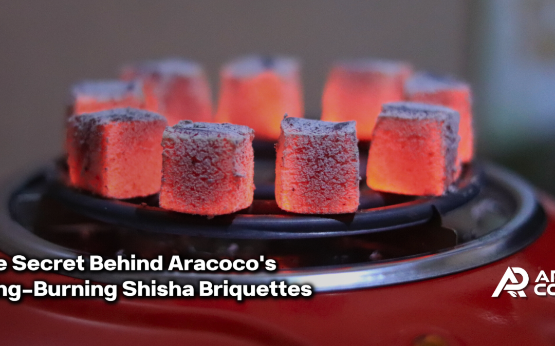 Shisha Briquette Secrets: The Long-Burning Formula of Aracoco