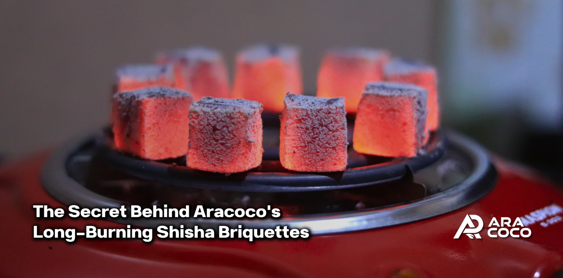 The Secret Behind Aracoco's Long-Burning Shisha Briquettes