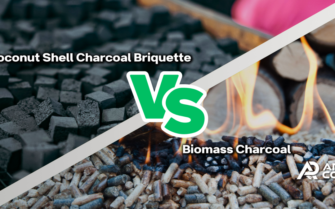 Coconut Shell Charcoal Briquette vs. Biomass Charcoal: Comparing to Understand the Differences