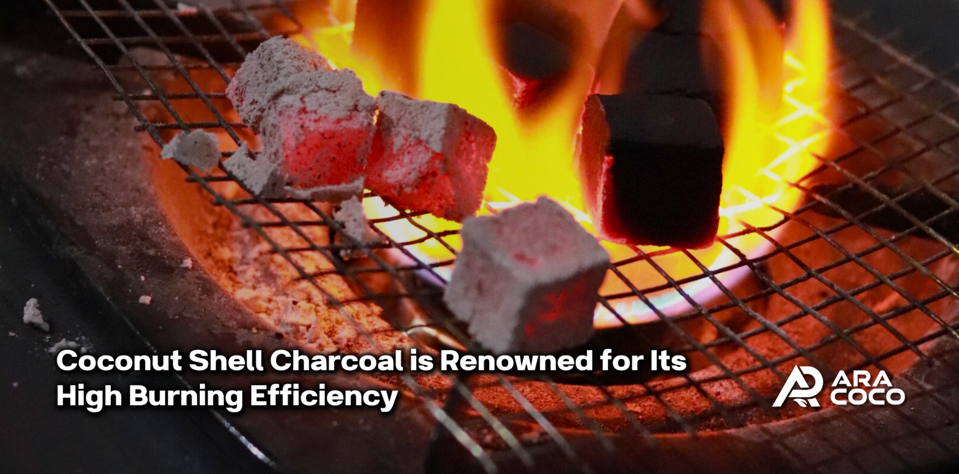 Coconut shell charcoal is renowned for its high burning efficiency.