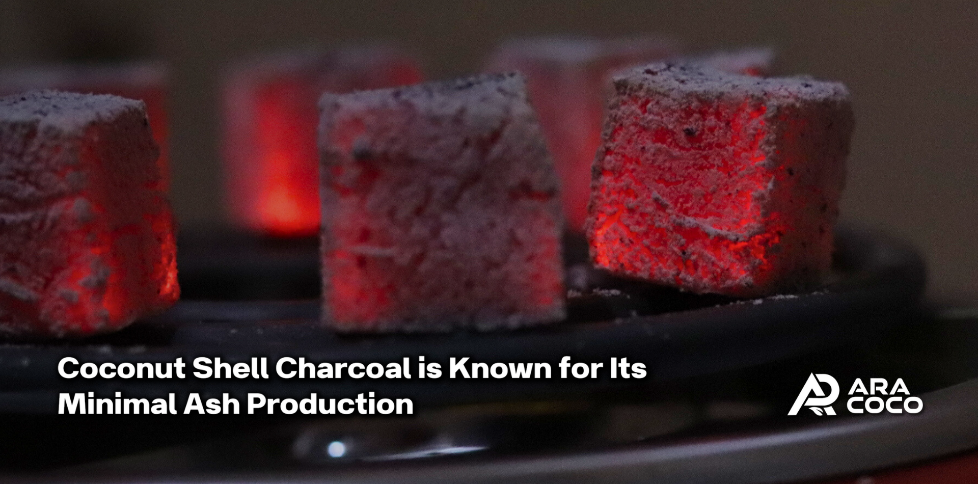 Coconut shell charcoal is known for its minimal ash production.