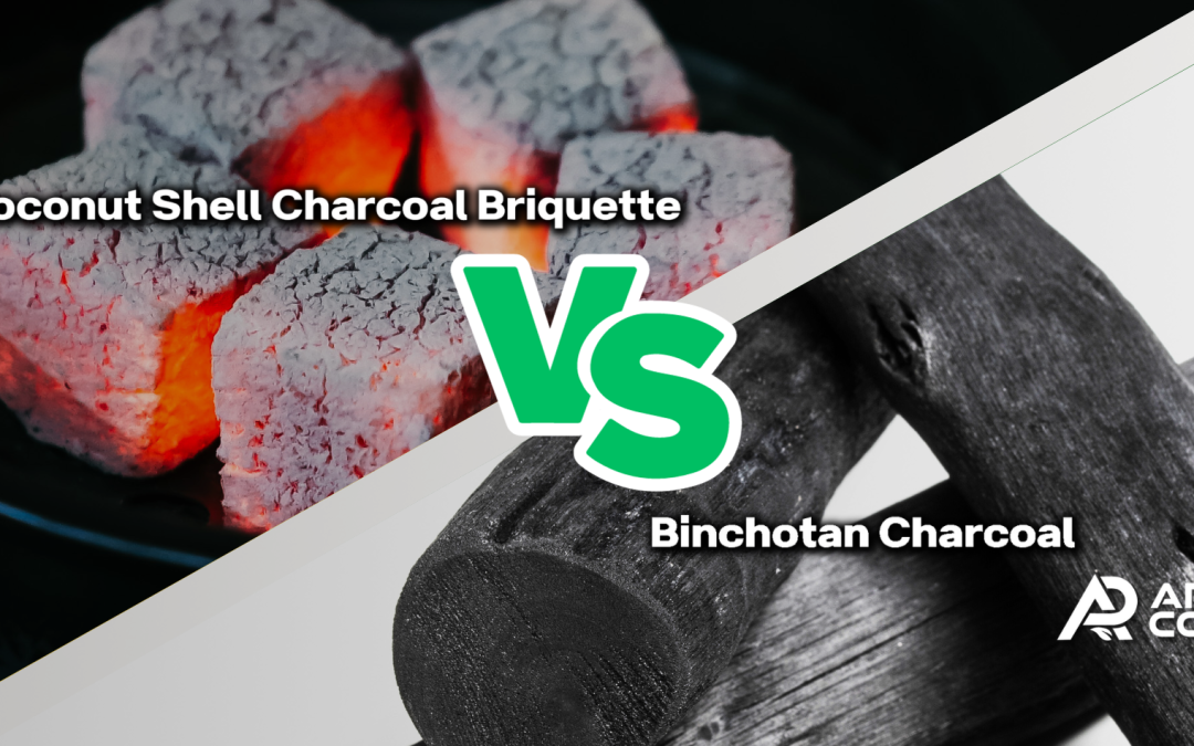Coconut Shell Charcoal Briquette vs. Binchotan Charcoal: Choosing the Right Type for Your Needs