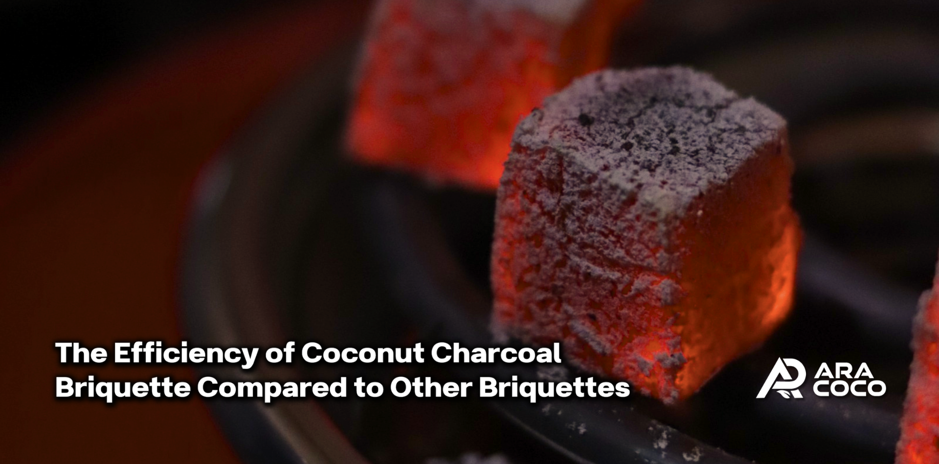 The Efficiency of Coconut Charcoal Briquette Compared to Other Briquettes