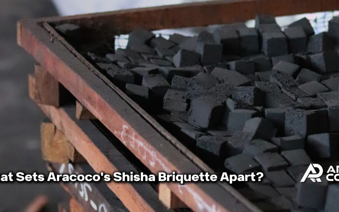 What Sets Aracoco’s Shisha Briquette Apart? Discover Aracoco’s Premium Coconut Shell Charcoal Briquette